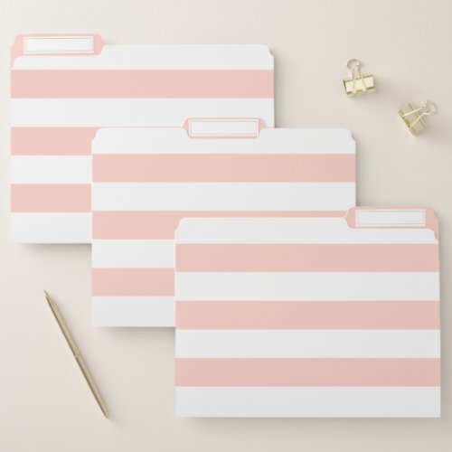 Pink Stripe Custom Color Stripes File Folder