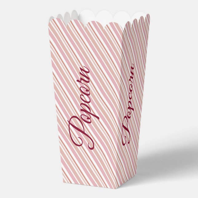 Pink Stripe Design Favor Boxes (Back)