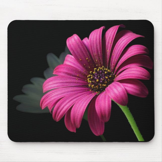 PINK STUDIO DAISY MOUSE PAD (Front)