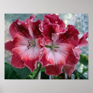 Pink Summer Flowers Photo Nature Wall Poster