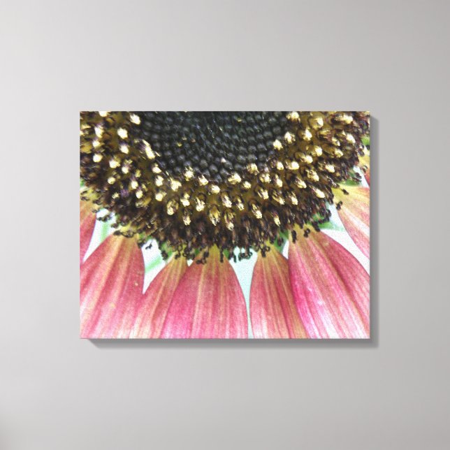 Pink Sunflower Canvas Print (Front)