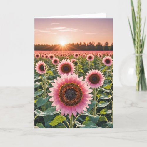 Pink Sunflower Field With Sunshine Sympathy Card