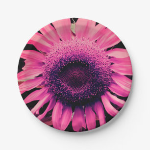 Pink Sunflower Paper Plates