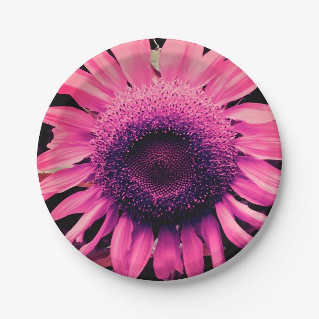 Pink Sunflower Paper Plates (Front)