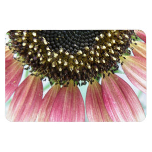 Pink Sunflower Premium Magnet