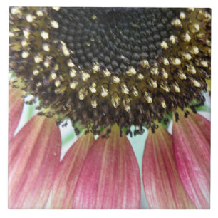 Pink Sunflower Tile
