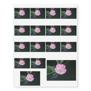 Pink Sunshine Temporary Tattoos