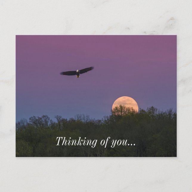 Pink Supermoon Eagle Thinking Of You Postcard (Front)
