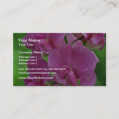 Pink Sweet Pea flowers Business Cards
