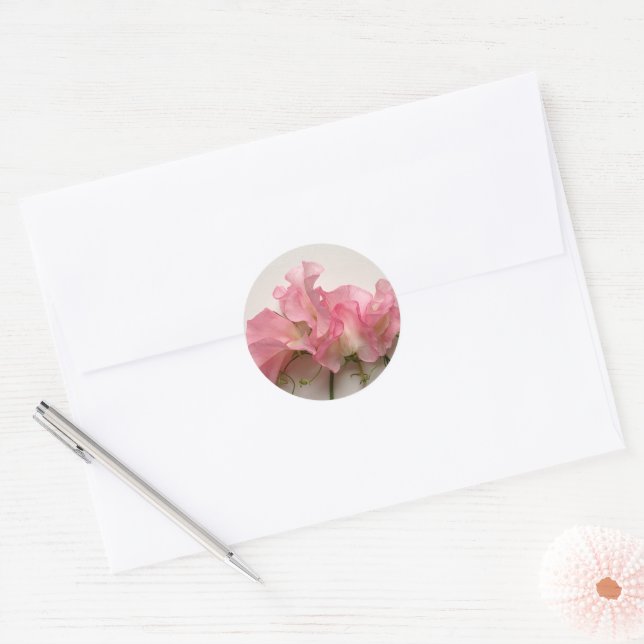 Pink sweet peas close up classic round sticker (Envelope)