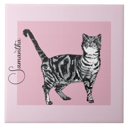 Pink Tabby Cat Cats Pastel Pink Girls Name