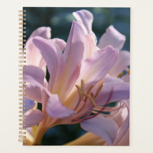 Pink Tall Lilies Magic Lily Planner (Front)