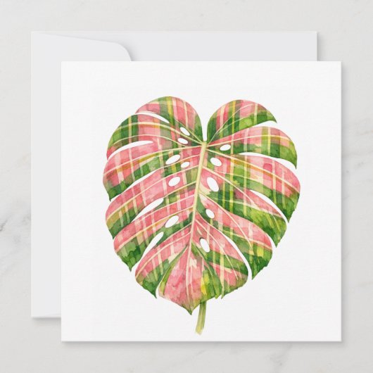 Pink Tartan Scottish Monstera Watercolour Botanic (Front)
