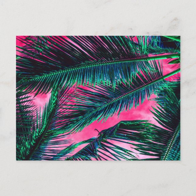 Pink Teal Tropical Summer Palm Tree Fronds Postcard (Front)