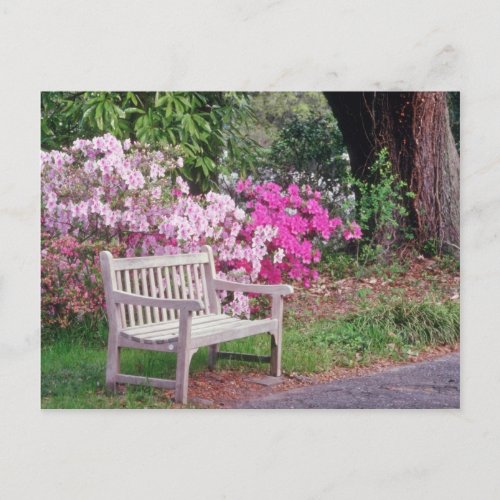 Pink The garden bench flowers Postcard