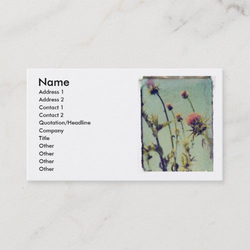 Pink Thistle profile card Business Card Templates