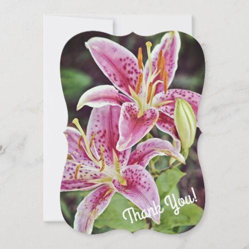 Pink Tiger Lily Flower Thank You Flat Note Card