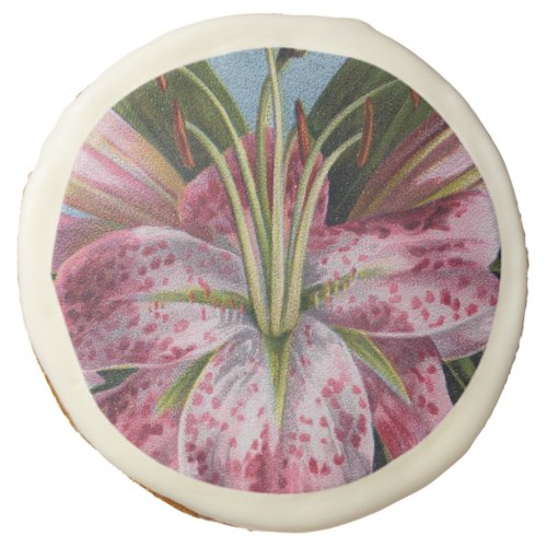 Pink Tiger Lily Sugar Cookie