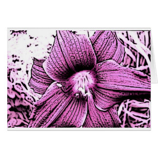 Pink Tigerlilly Cards