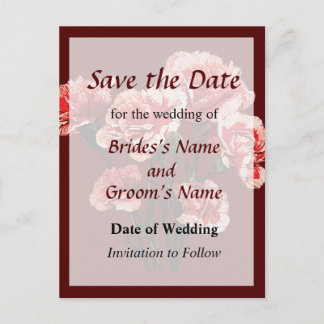 Pink Tipped Carnation Announcement Postcard