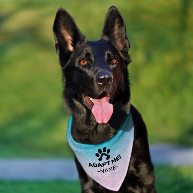 Pink to blue ombre custom text pet bandana collar (Dog)