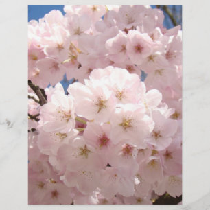 Pink Tree Blossoms Flowers Scrapbooking paper
