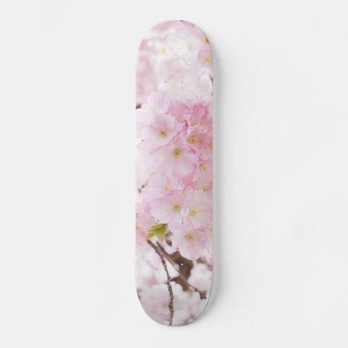 Pink Tree Cherry Blossom Skateboard Deck
