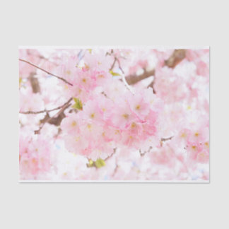 Pink Tree Sakura Cherry Blossom Tissue Paper