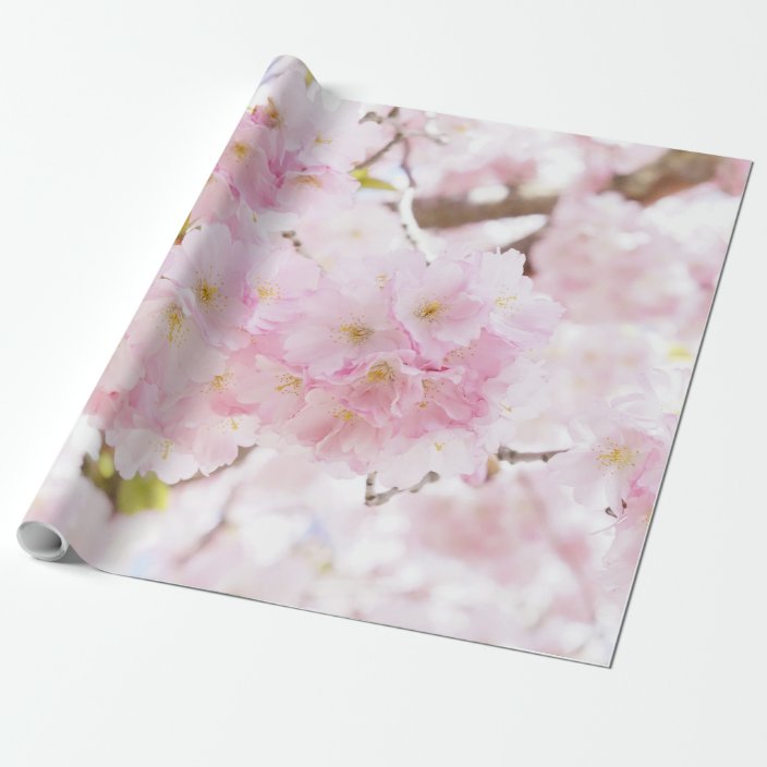 cherry blossom wrapping paper