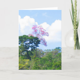Pink Tree Venezuela Jungle Landscape Card