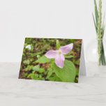 Pink Trillium Flower Card