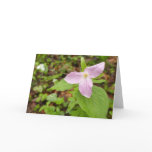 Pink Trillium Flower Card