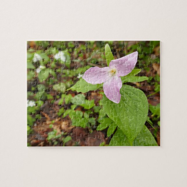 Pink Trillium Flower Jigsaw Puzzle (Horizontal)
