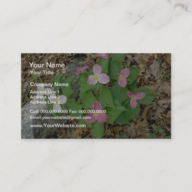 Pink Trilliums, Quebec, Canada. flowers Business Card (Front)