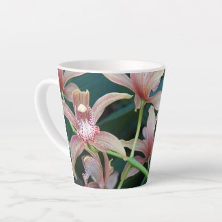 Pink Tropical Cymbidium Orchids Floral