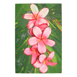 Pink Tropical Frangipani Art
