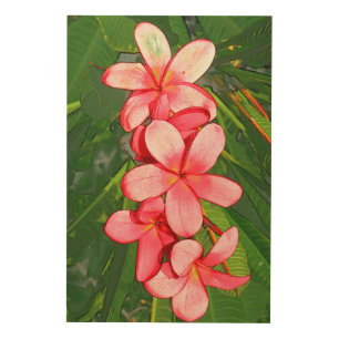 Pink Tropical Frangipani Art