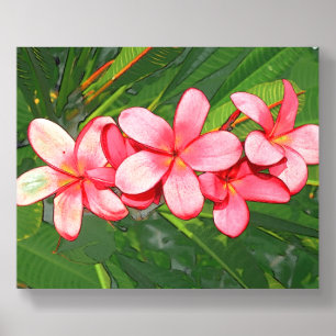 Pink Tropical Frangipani Art Acrylic Photo Tile