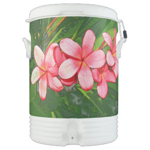 Pink Tropical Frangipani Art Beverage Cooler