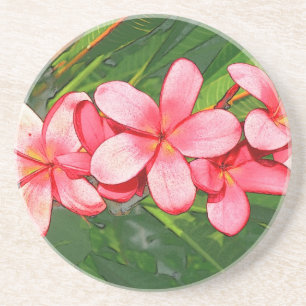 Pink Tropical Frangipani Art Coaster