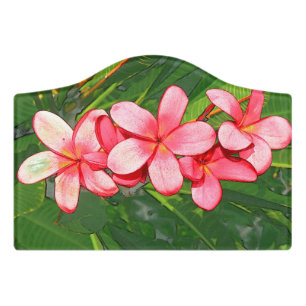Pink Tropical Frangipani Art Door Sign