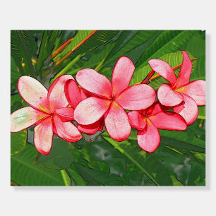 Pink Tropical Frangipani Art Foam Board