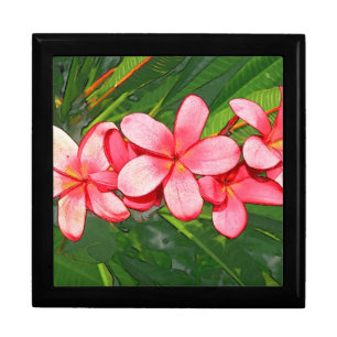 Pink Tropical Frangipani Art Gift Box