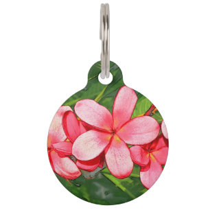 Pink Tropical Frangipani Art Pet ID Tag