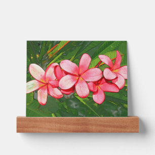 Pink Tropical Frangipani Art Picture Ledge