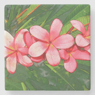 Pink Tropical Frangipani Art Stone Coaster
