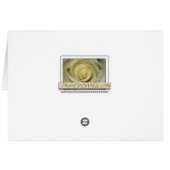 Pink tropical hibiscus flower (Back Horizontal)