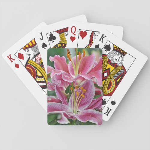 Pink tropical lily flowers poker cards
