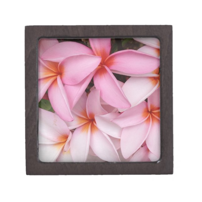 Pink Tropical Plumeria Box (Front)