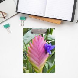 Pink Tropical Quill Plant Floral Clipboard